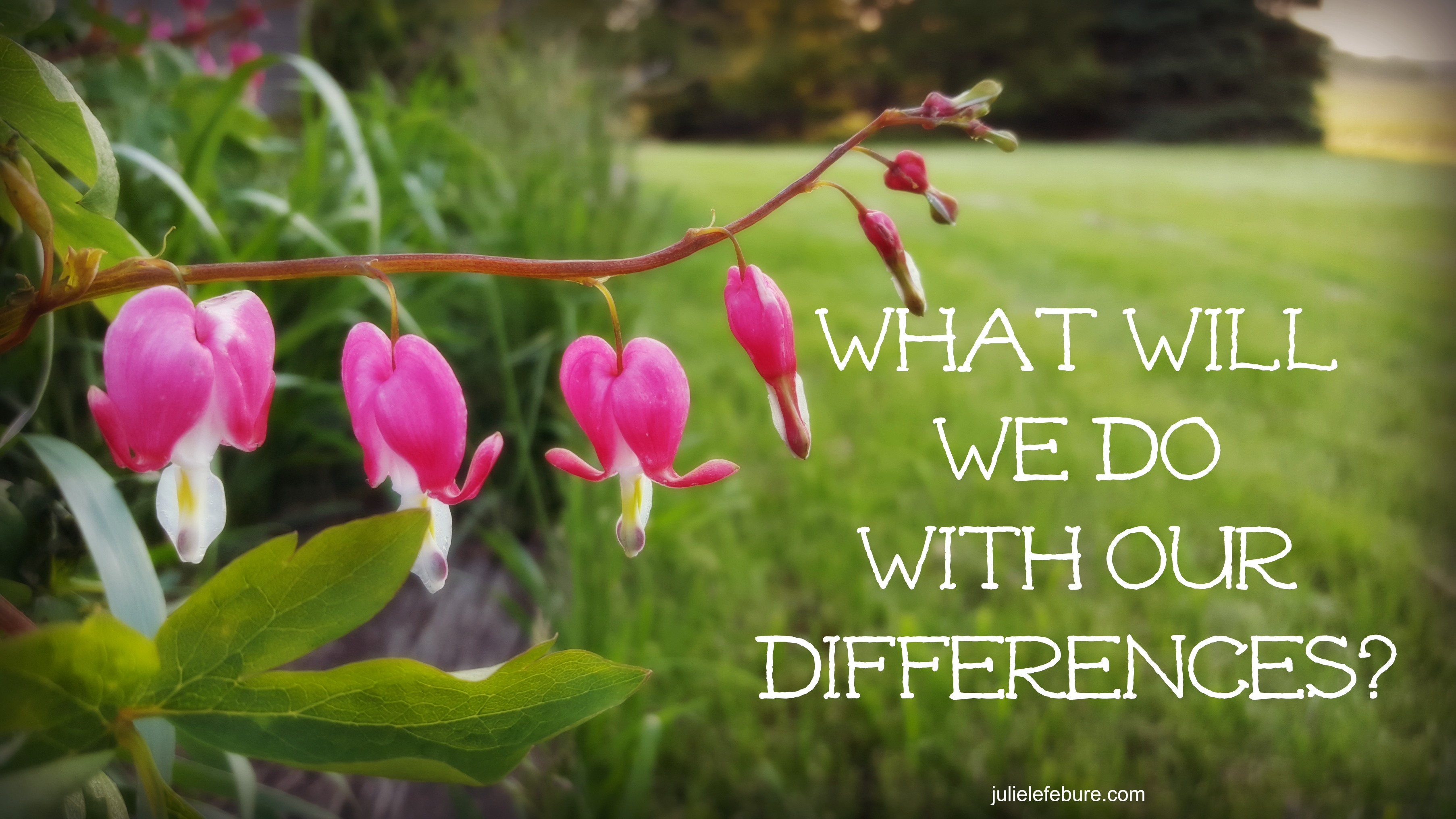 what-will-you-and-i-do-with-our-differences-julie-lefebure