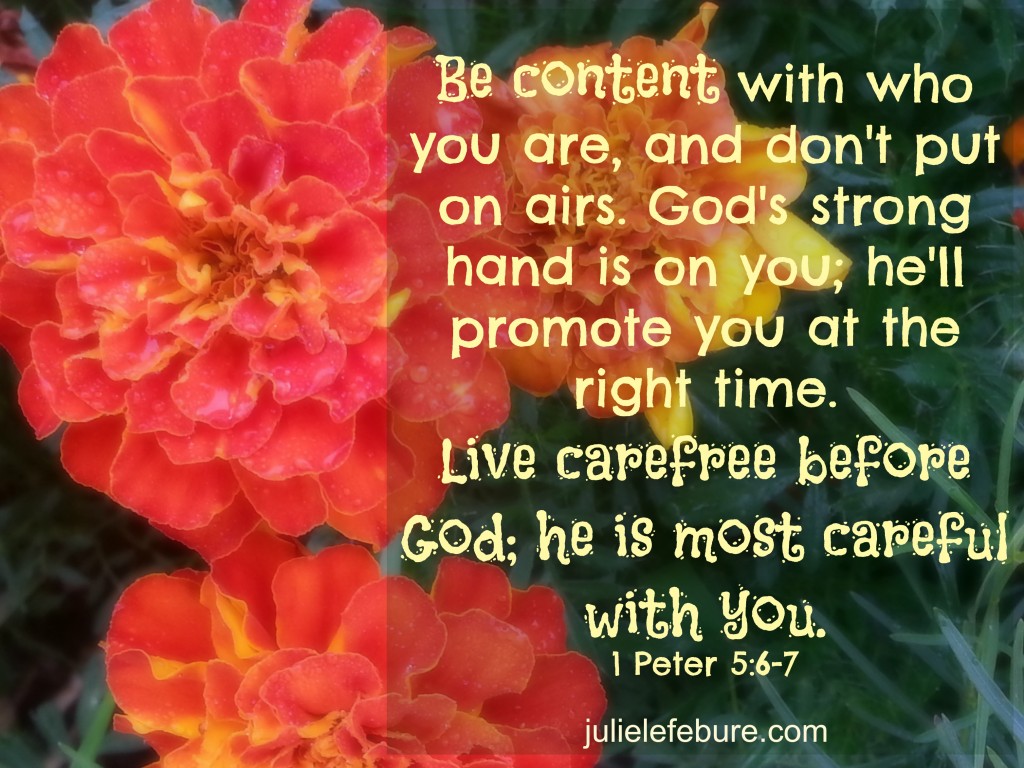 Be Content, But Not Satisfied - Julie Lefebure