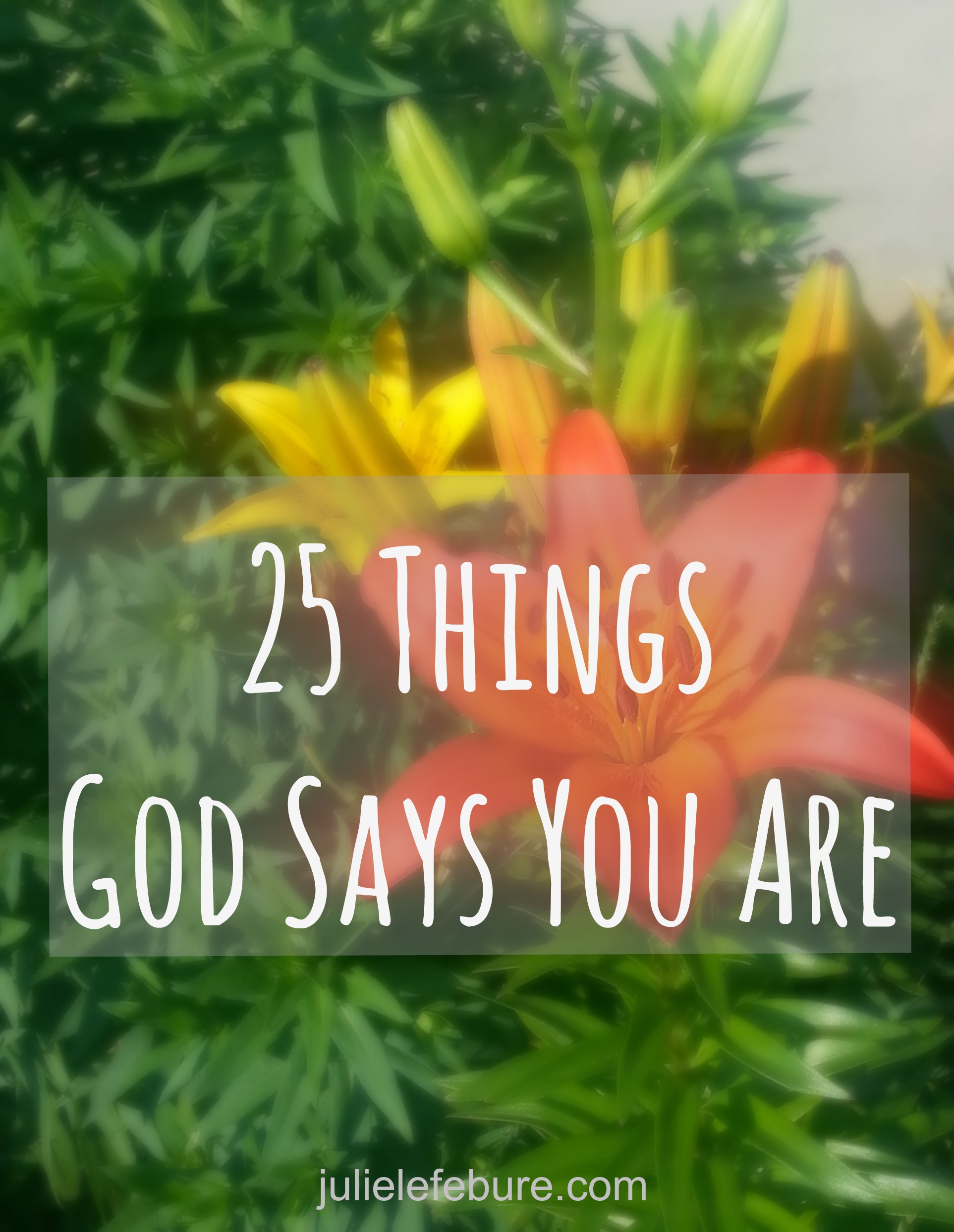 Who God Says You Are - Julie Lefebure