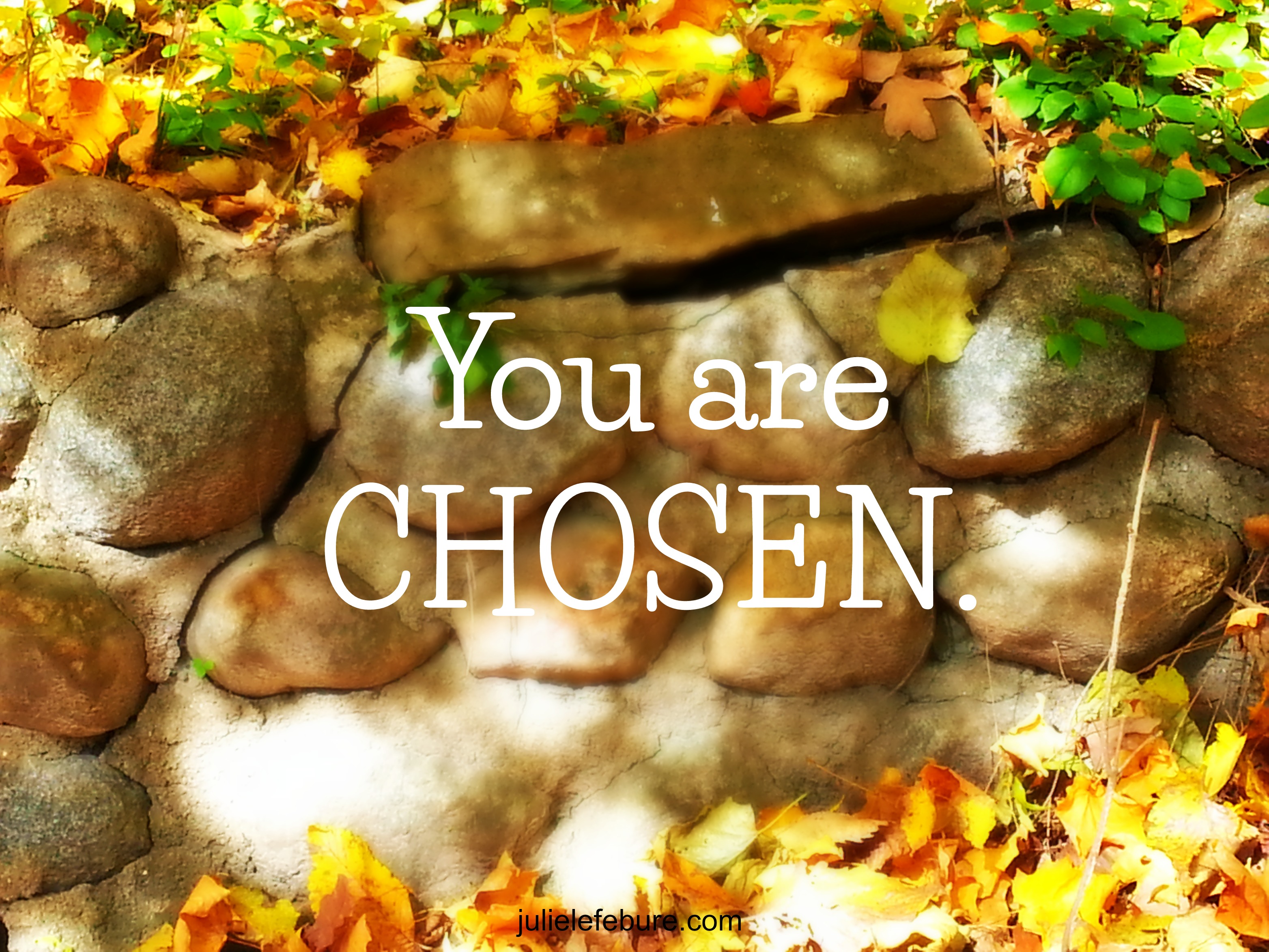 Friend, You Are Chosen - Julie Lefebure