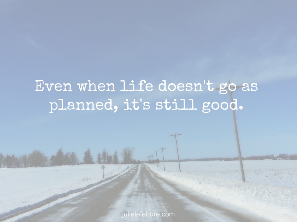 When Life Disappoints Doesn t Go As Planned - Julie Lefebure