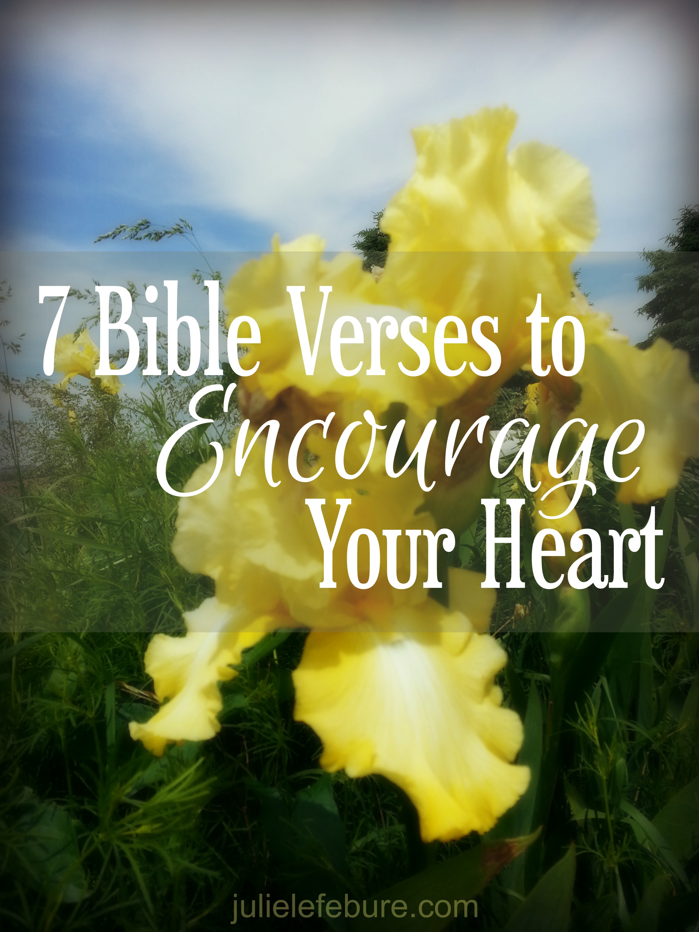 7-bible-verses-to-encourage-your-heart-julie-lefebure